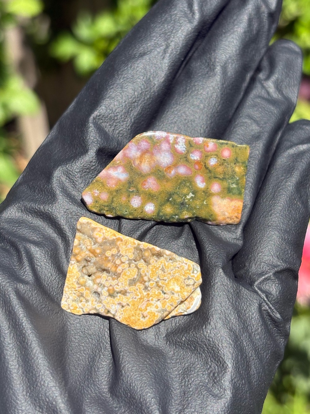 Ocean Jasper Crystal Set - Polished Sea Jasper Bundle - Orbicular Jasper